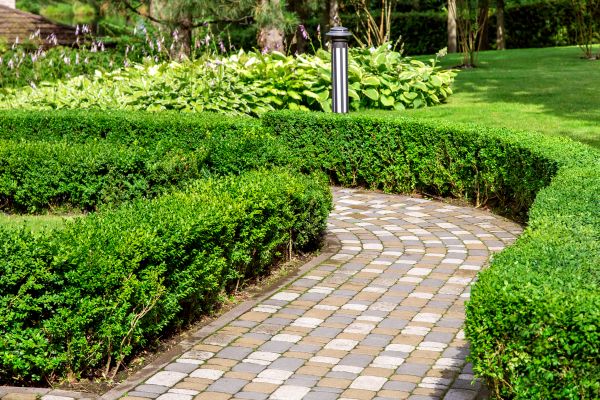 Paved Landscaping in Norwalk