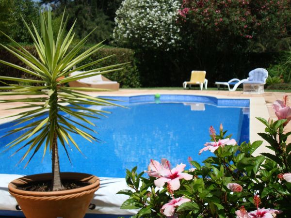 Pool Terrace Renovation in Norwalk