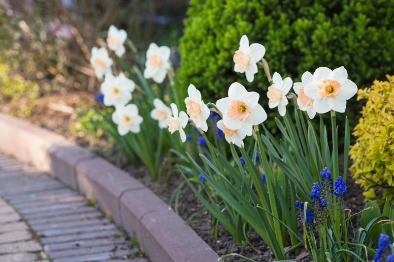Garden Pavers Installation